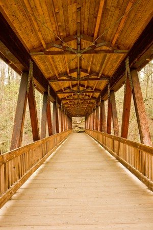 Bridge Into Distance